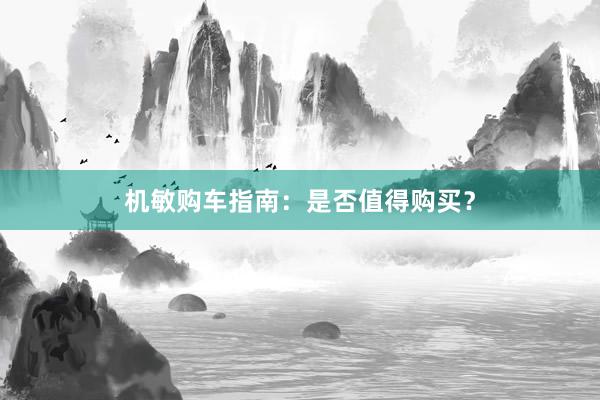 机敏购车指南：是否值得购买？